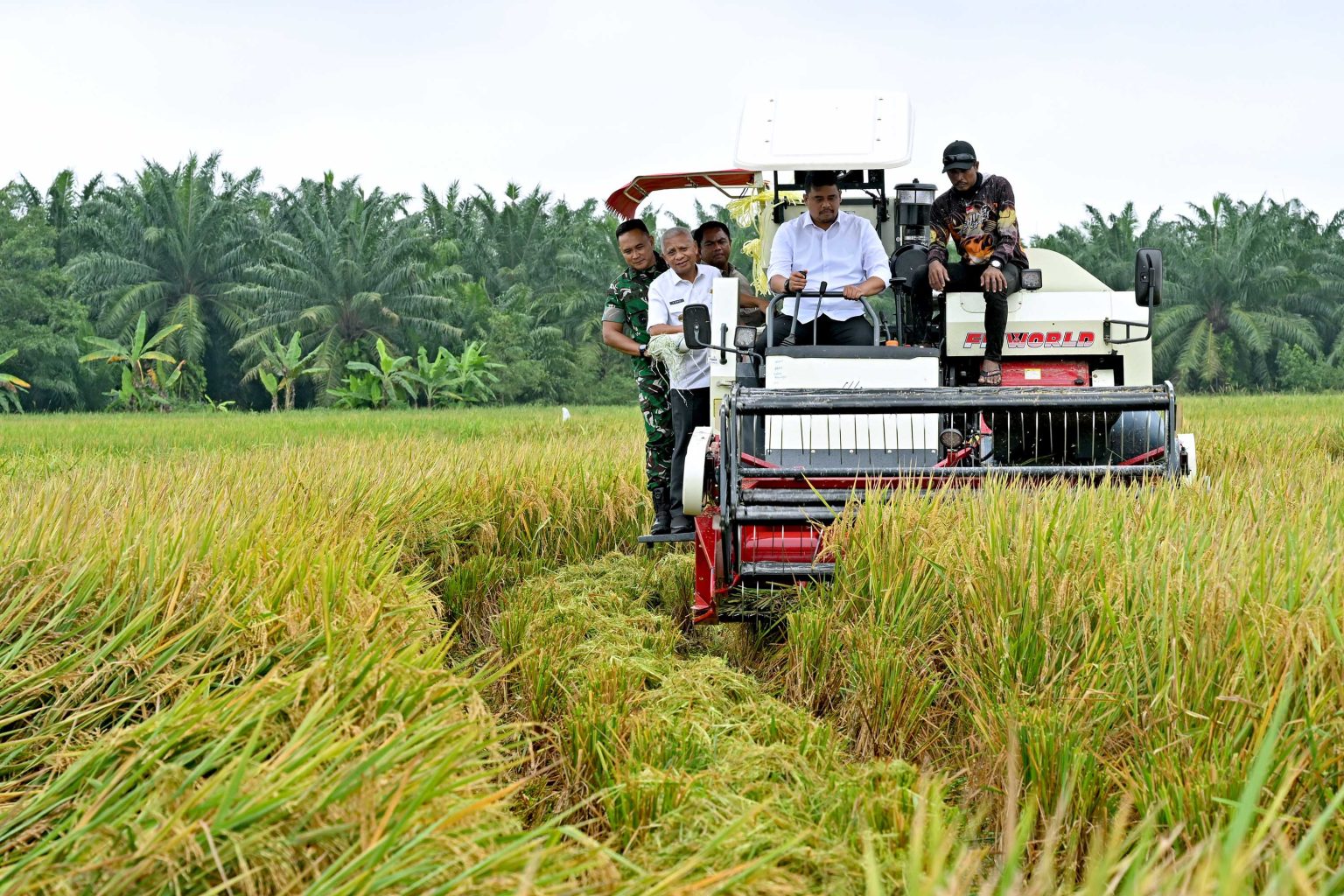 Gubsu Bobby Nasution Minta Bantuan Presiden Perbaiki Tanggul untuk Tingkatkan Produksi Padi