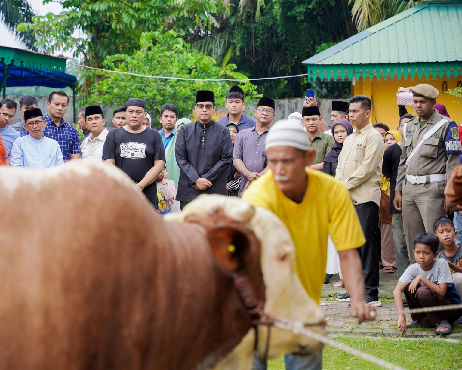 Walikota Medan Rico Waas Saksikan Penyembelihan Sapi Qurban Presiden Prabowo di Masjid Raya Al Osmani