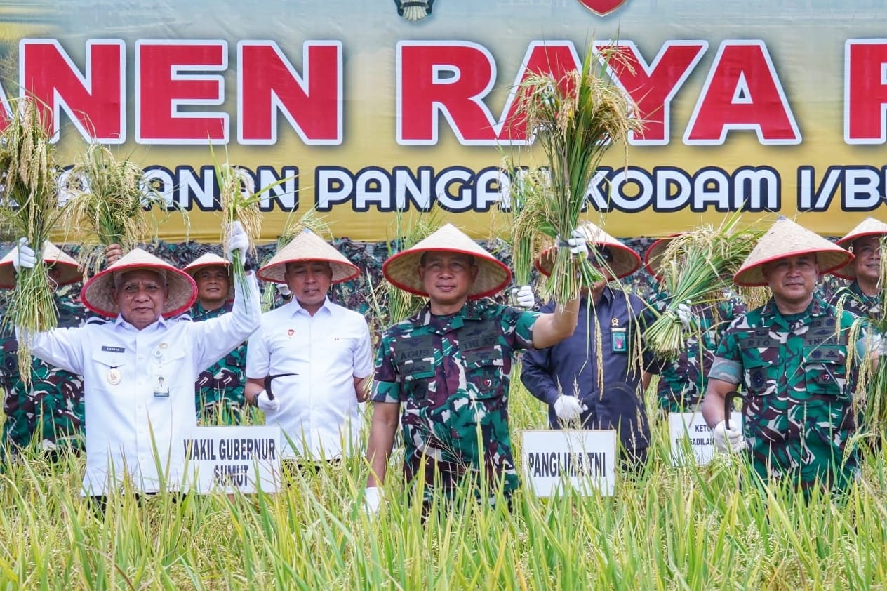 Panglima TNI Panen Raya di Lahan Ketahanan Pangan Kodam I/BB