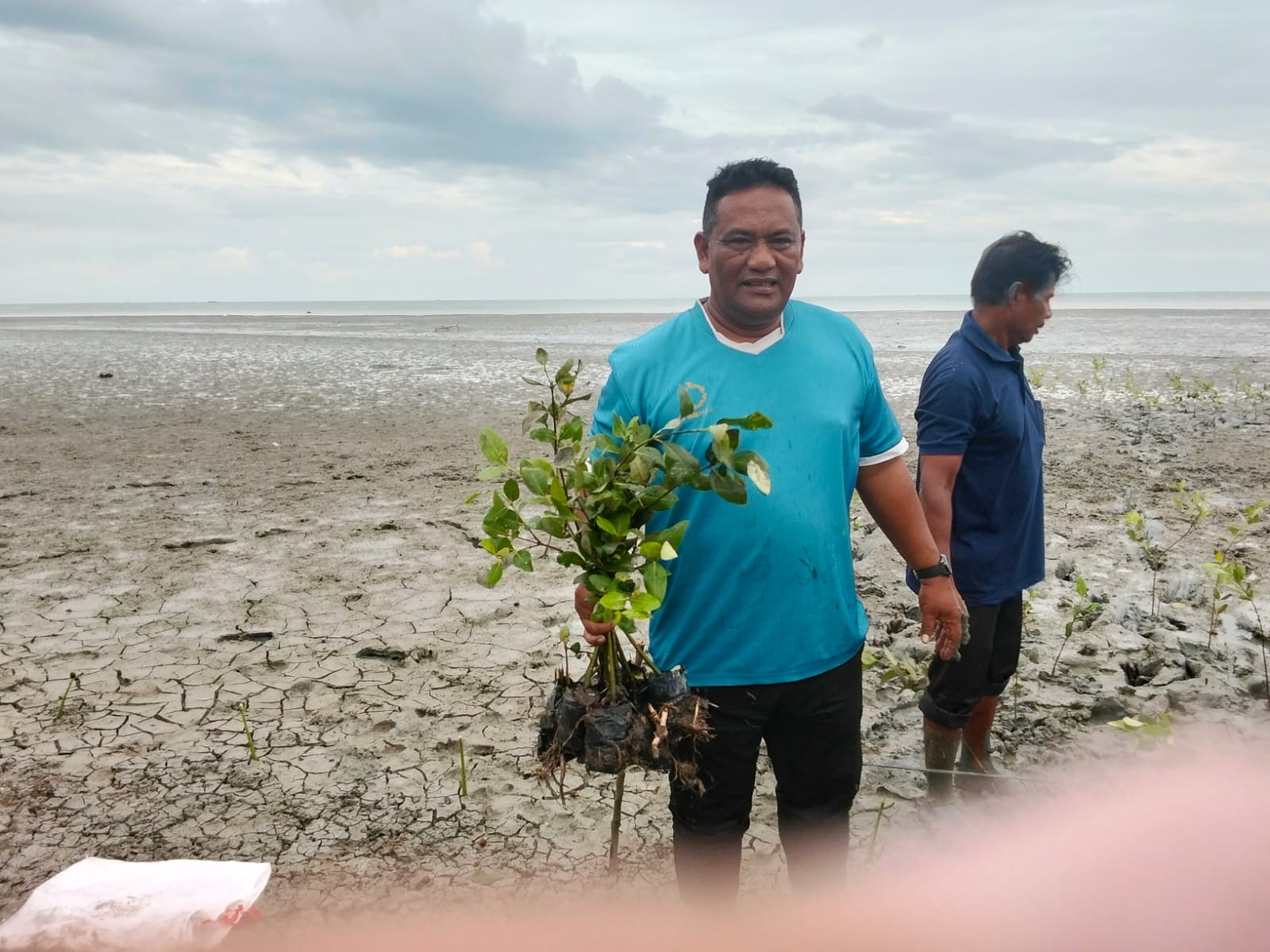 Cegah Abrasi, Pemdes Bagan Kuala Bersama PPK ORMAWA UMSU Tanam 1.000 Pohon Mangrove